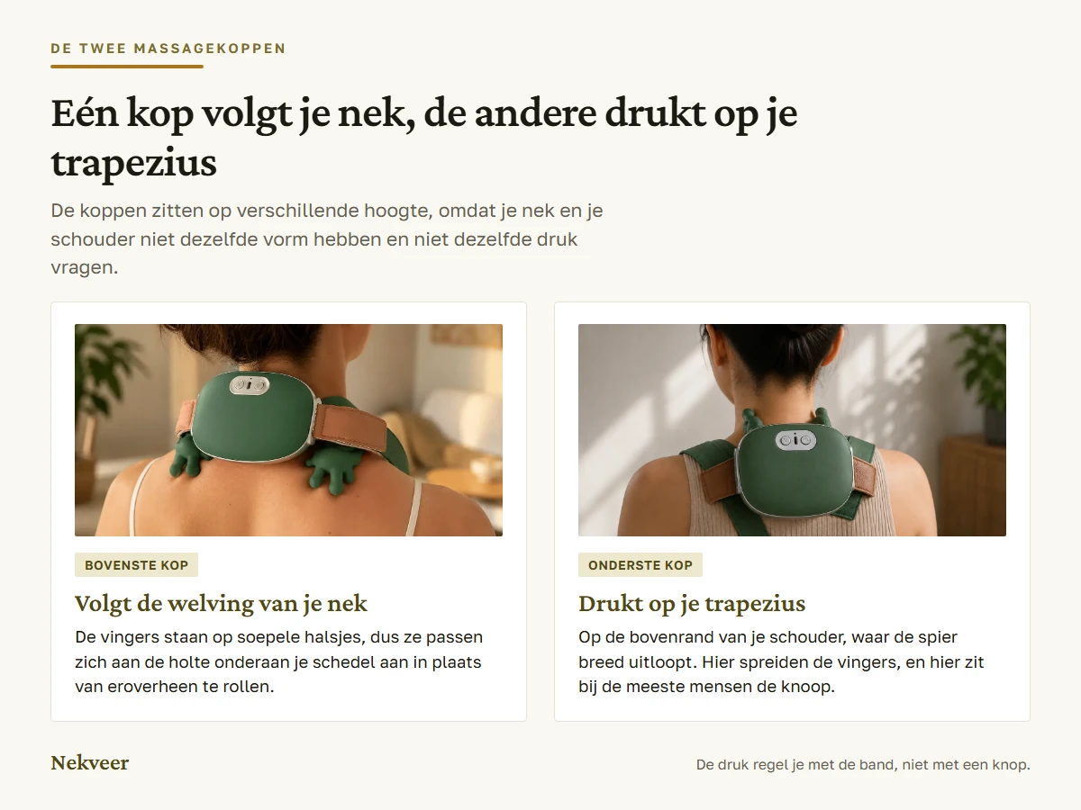 De twee massagekoppen: de bovenste volgt de welving van de nek, de onderste drukt op de trapezius