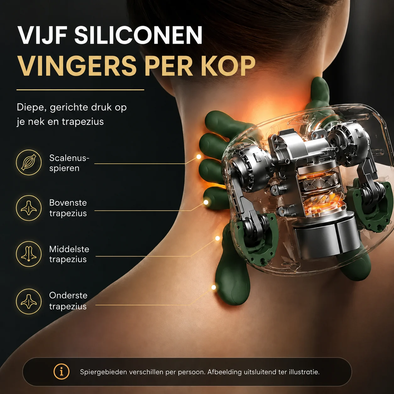 Doorsnede van de massagekop op een nek, met de scalenusspieren en de bovenste, middelste en onderste trapezius